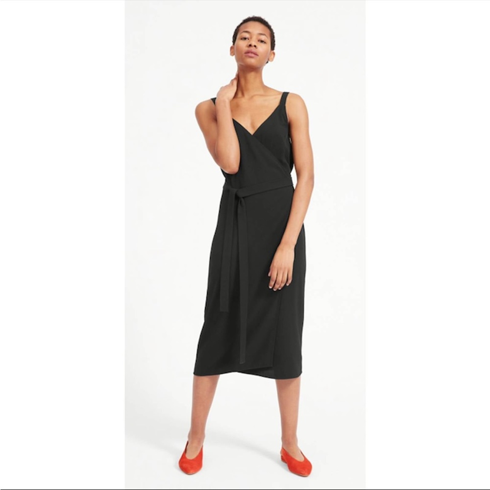Everlane Japanese Goweave Dress